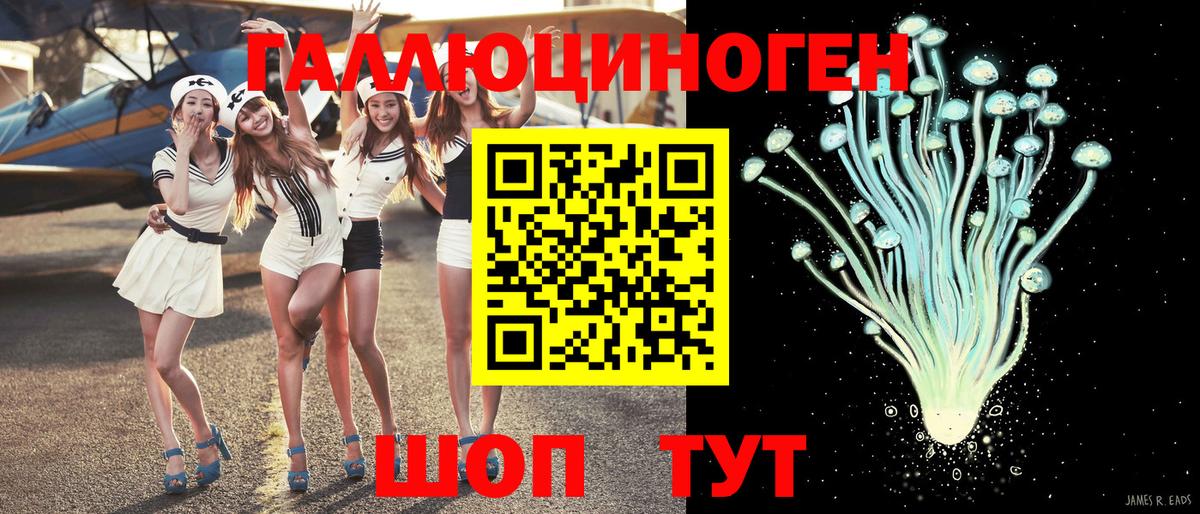 наркота  Вход с VPN  Волжск  Галлюциногенные грибы Psilocybine cubensis 