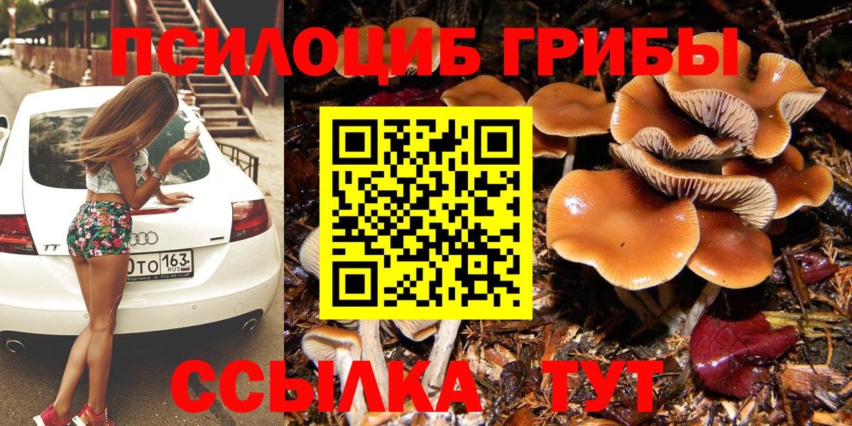Галлюциногенные грибы мицелий Волжск